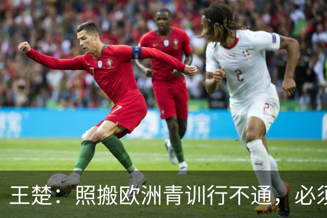 王楚：照搬欧洲青训行不通，必须培养出有自主决策能力的球员